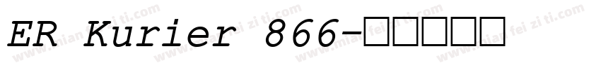 ER Kurier 866字体转换